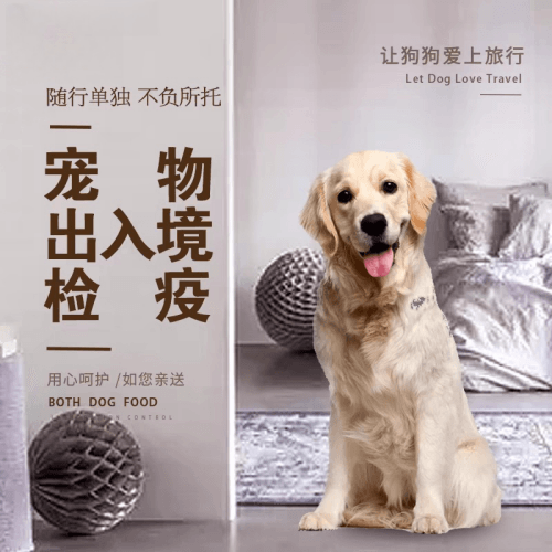 固原市宠物托运到哥伦比亚猫狗宠物入境规定和
