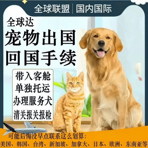 固原市宠物托运到柬埔寨宠物入境规定和要求