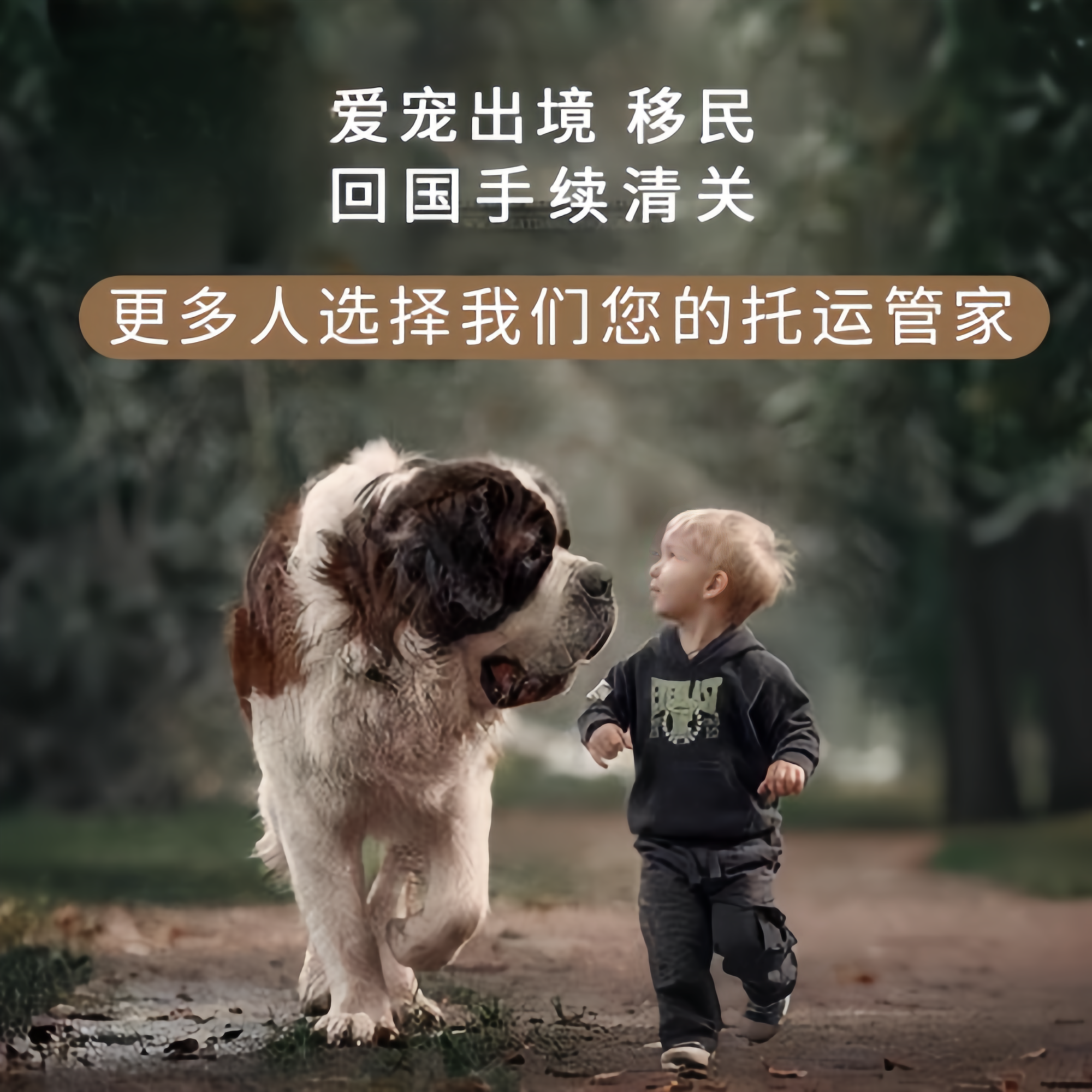 满财固原市宠物全球达宠物托运在遵守入境目的地政策的条件