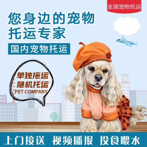 满财固原市宠物全球达宠物托运作为专业的宠物运输代理机构